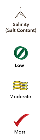 Salinity (Salt Content) Comparison